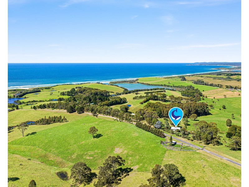 126 Haxstead Road, Central Tilba NSW 2546