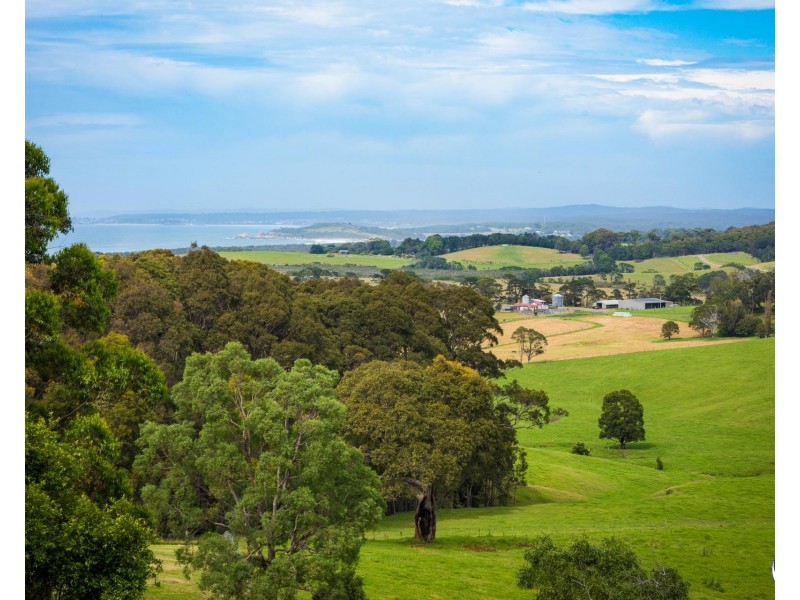 126 Haxstead Road, Central Tilba NSW 2546