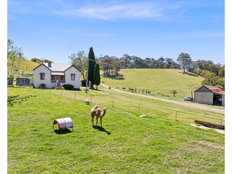 Central Tilba NSW 2546