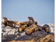 Narooma NSW 2546