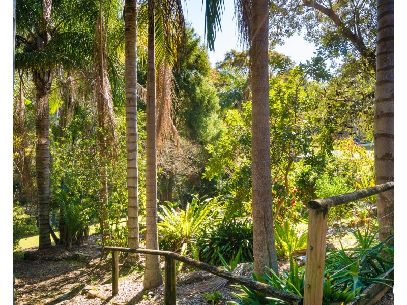11 Eucalyptus Drive, Dalmeny NSW 2546