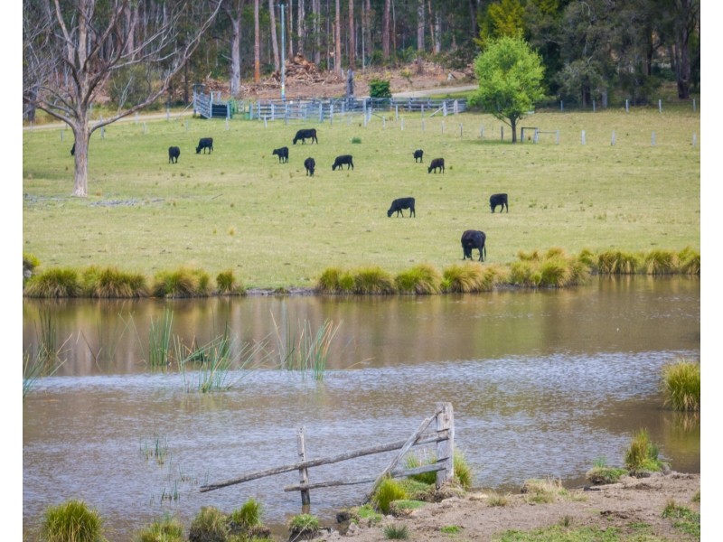 71 COILA CREEK ROAD, Coila NSW 2537