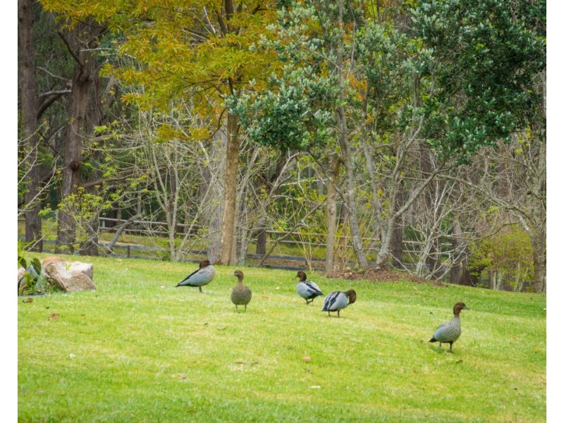 71 COILA CREEK ROAD, Coila NSW 2537