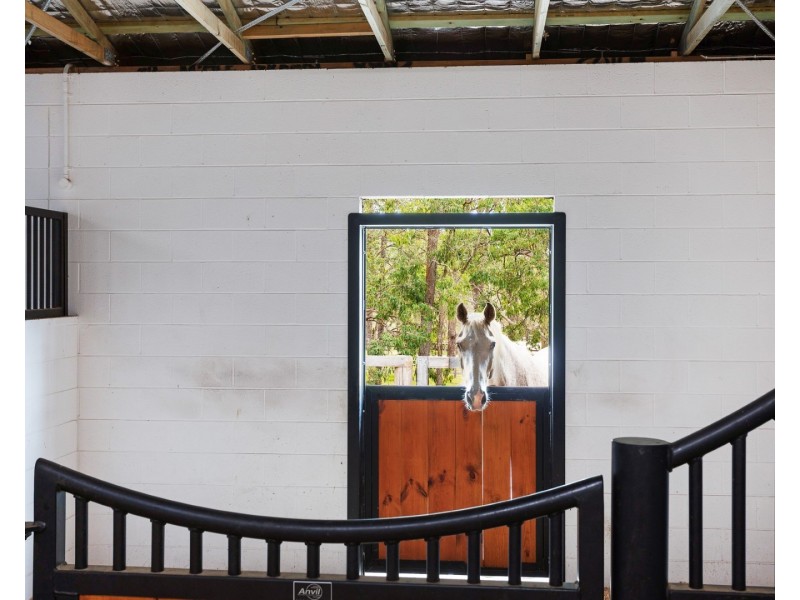 71 COILA CREEK ROAD, Coila NSW 2537