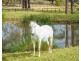 71 COILA CREEK ROAD, Coila NSW 2537