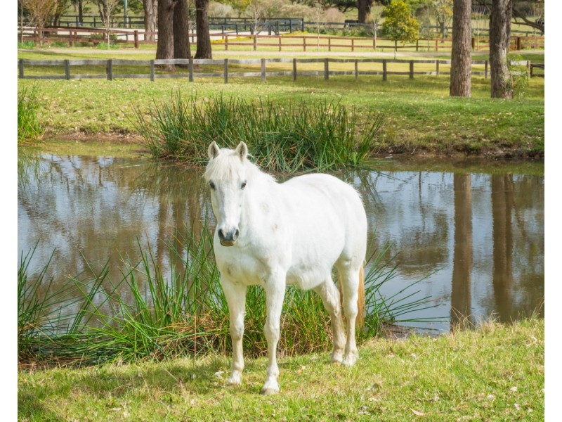 71 COILA CREEK ROAD, Coila NSW 2537