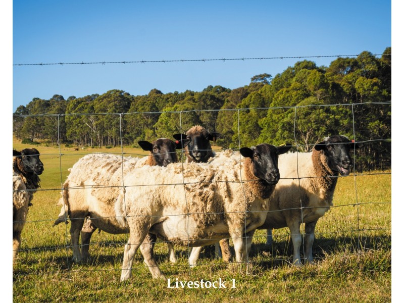 80 Lamont Young Drive, Mystery Bay NSW 2546