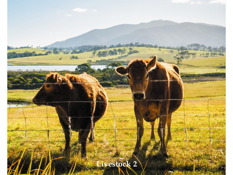 80 Lamont Young Drive, Mystery Bay NSW 2546