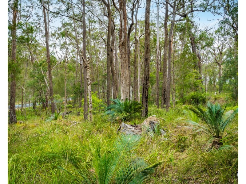 1067 CONGO ROAD, Meringo NSW 2537