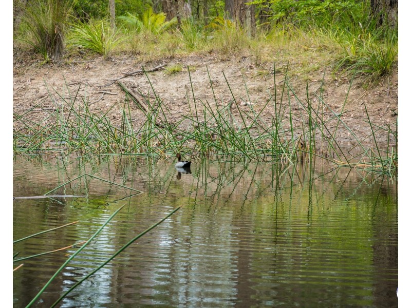 1067 CONGO ROAD, Meringo NSW 2537