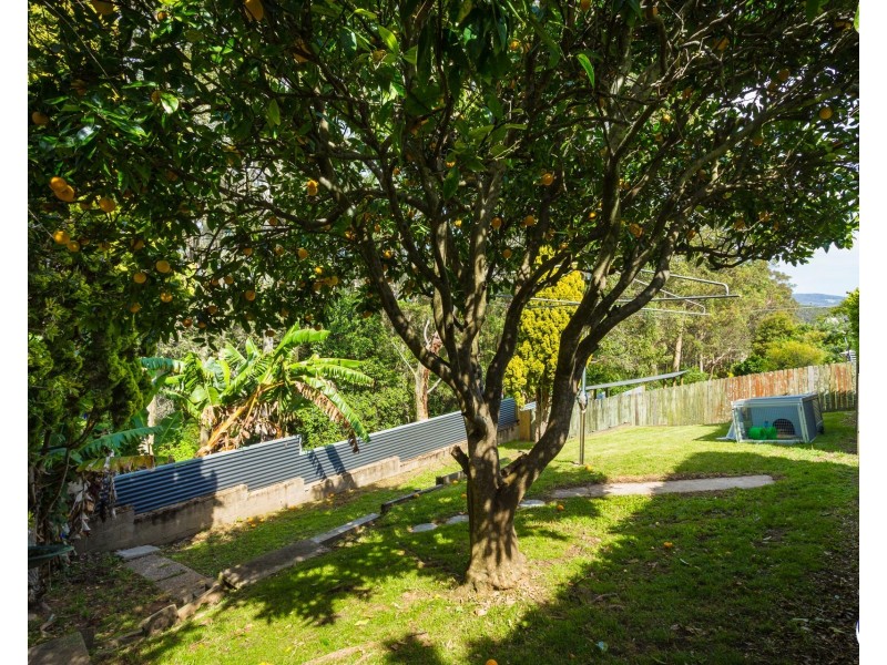 5 Dorothy Drive, Narooma NSW 2546