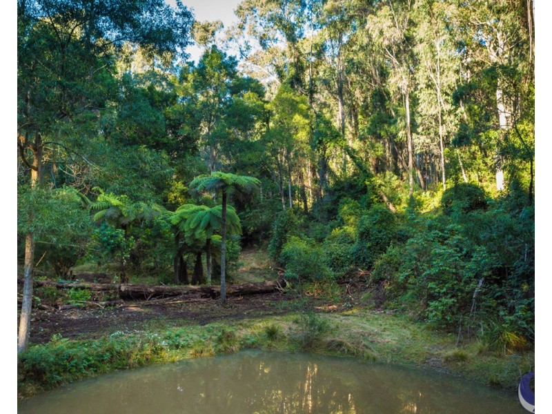 100 Hobbs Point Road, Narooma NSW 2546