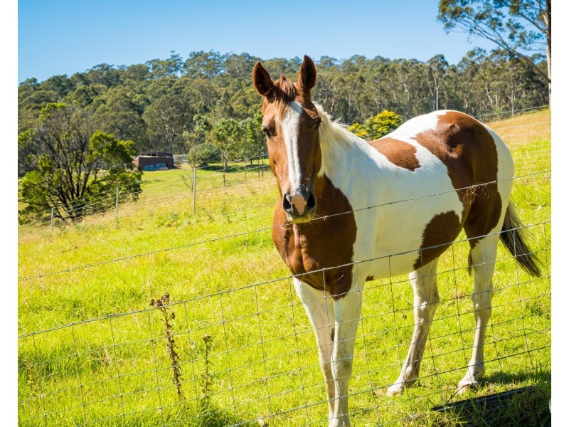 316A Ridge Road, Central Tilba NSW 2546