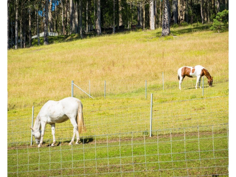 316A Ridge Road, Central Tilba NSW 2546
