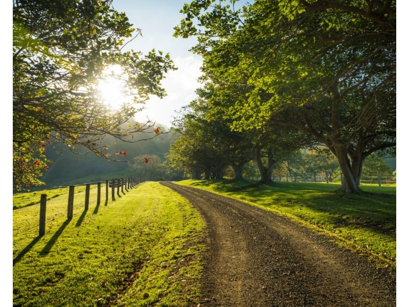 49 Mount Dromedary Trail, Tilba Tilba NSW 2546