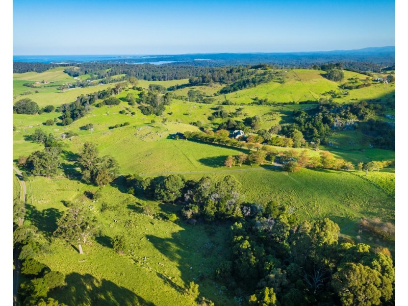 49 Mount Dromedary Trail, Tilba Tilba NSW 2546