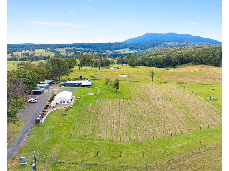 874 Cobargo Bermagui Road, Coolagolite NSW 2550