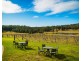 874 Cobargo Bermagui Road, Coolagolite NSW 2550