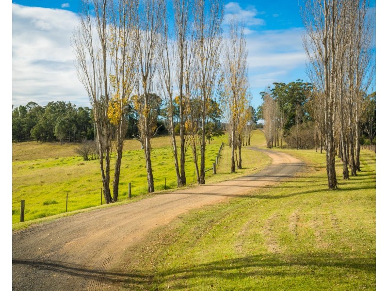 874 Cobargo Bermagui Road, Coolagolite NSW 2550