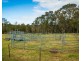 874 Cobargo Bermagui Road, Coolagolite NSW 2550