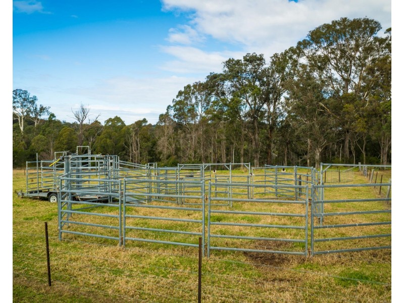 874 Cobargo Bermagui Road, Coolagolite NSW 2550