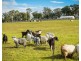 874 Cobargo Bermagui Road, Coolagolite NSW 2550