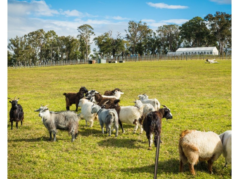 874 Cobargo Bermagui Road, Coolagolite NSW 2550