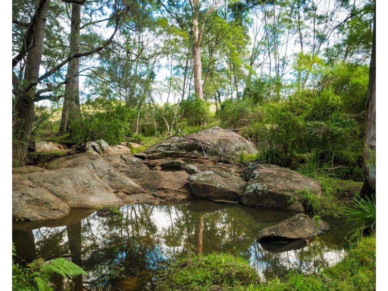 874 Cobargo Bermagui Road, Coolagolite NSW 2550