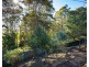 84/11 Payne Street, Narooma NSW 2546