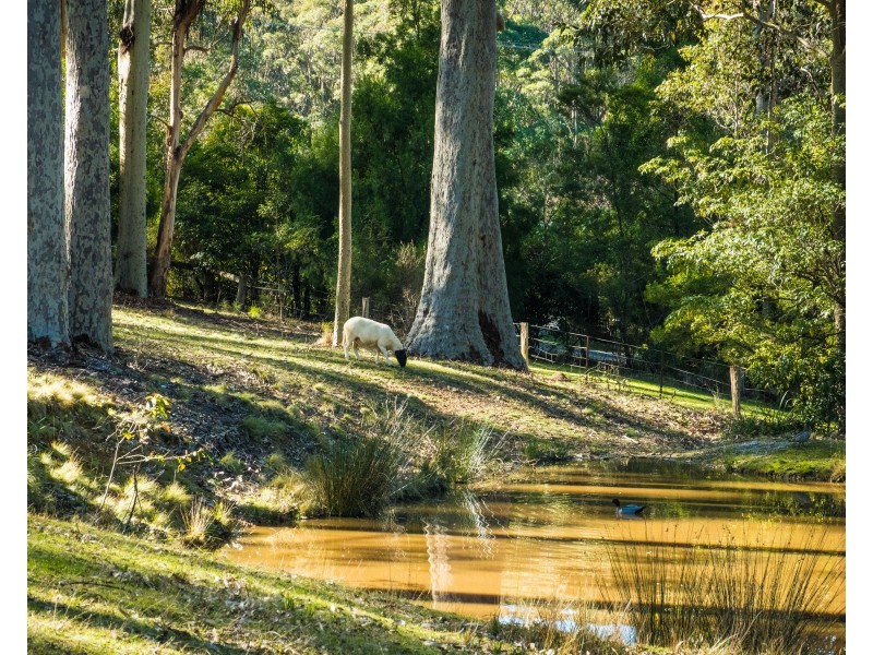 52 Corunna Road, Narooma NSW 2546