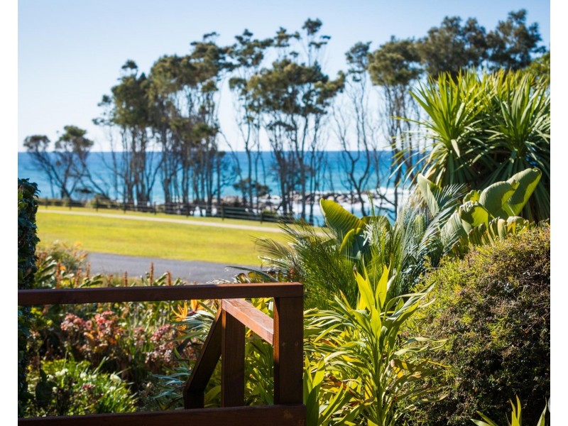 49 Mcmillan Crescent, Dalmeny NSW 2546