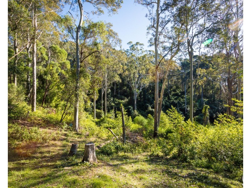 212 Ridge Road, Central Tilba NSW 2546