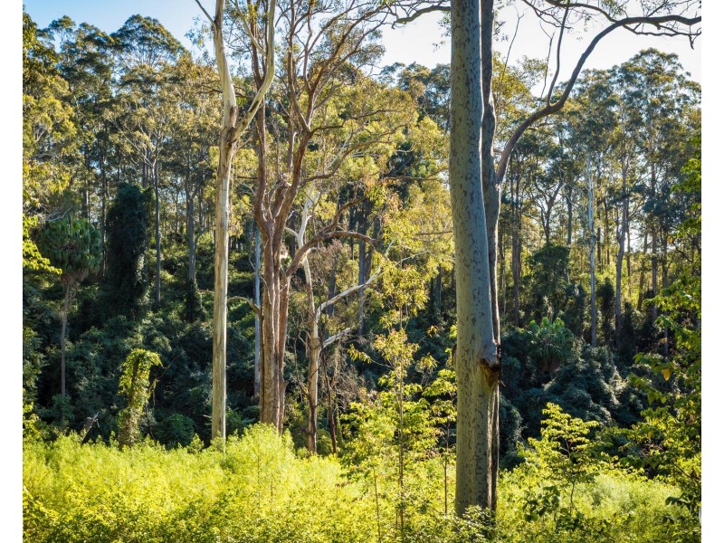 212 Ridge Road, Central Tilba NSW 2546