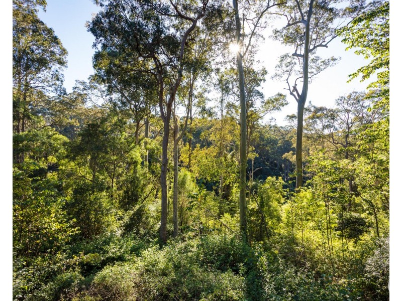 212 Ridge Road, Central Tilba NSW 2546