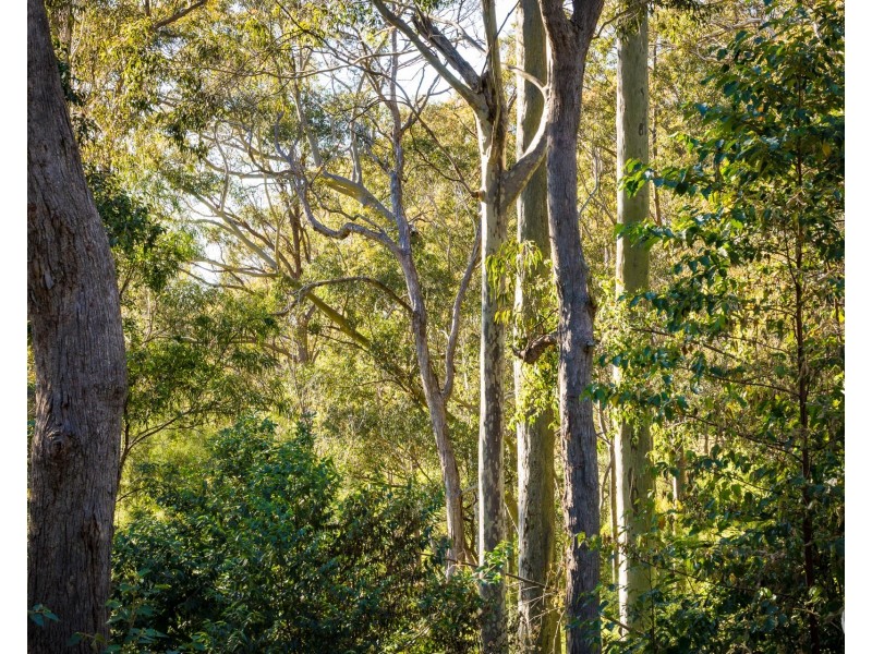 212 Ridge Road, Central Tilba NSW 2546