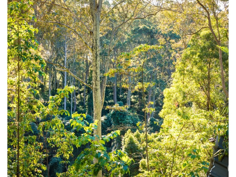 212 Ridge Road, Central Tilba NSW 2546