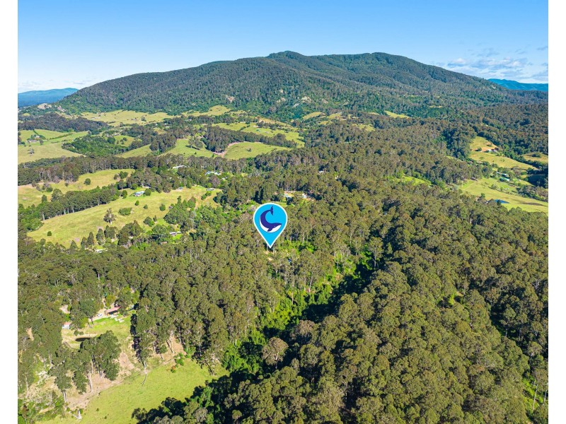 212 Ridge Road, Central Tilba NSW 2546