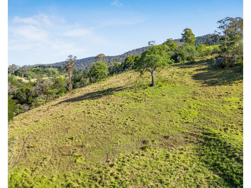 121 Punkalla Tilba Road, Central Tilba NSW 2546