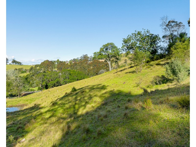 121 Punkalla Tilba Road, Central Tilba NSW 2546