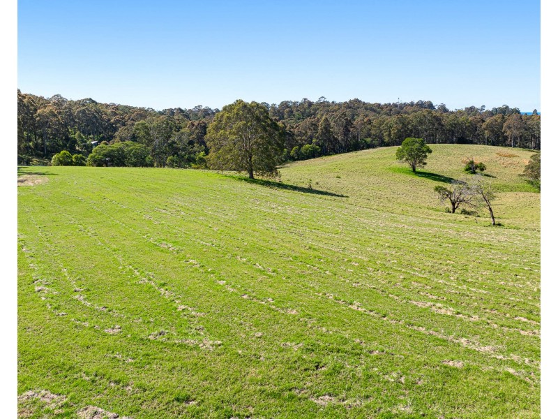 79 Wagonga Scenic Drive, Narooma NSW 2546
