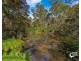 45 Lyrebird Place, Bodalla NSW 2545