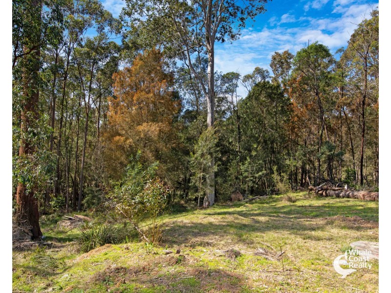45 Lyrebird Place, Bodalla NSW 2545