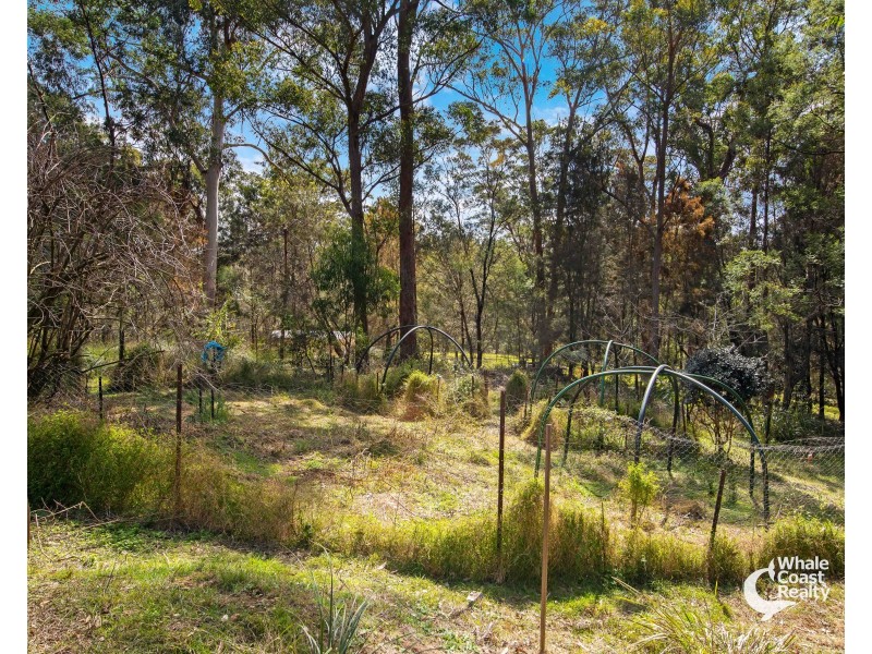 45 Lyrebird Place, Bodalla NSW 2545
