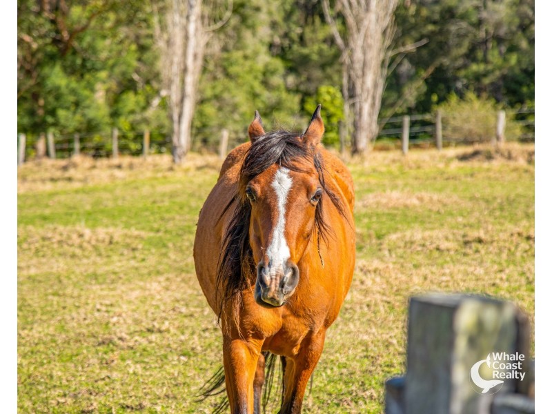 227 Princes Highway, Bodalla NSW 2545