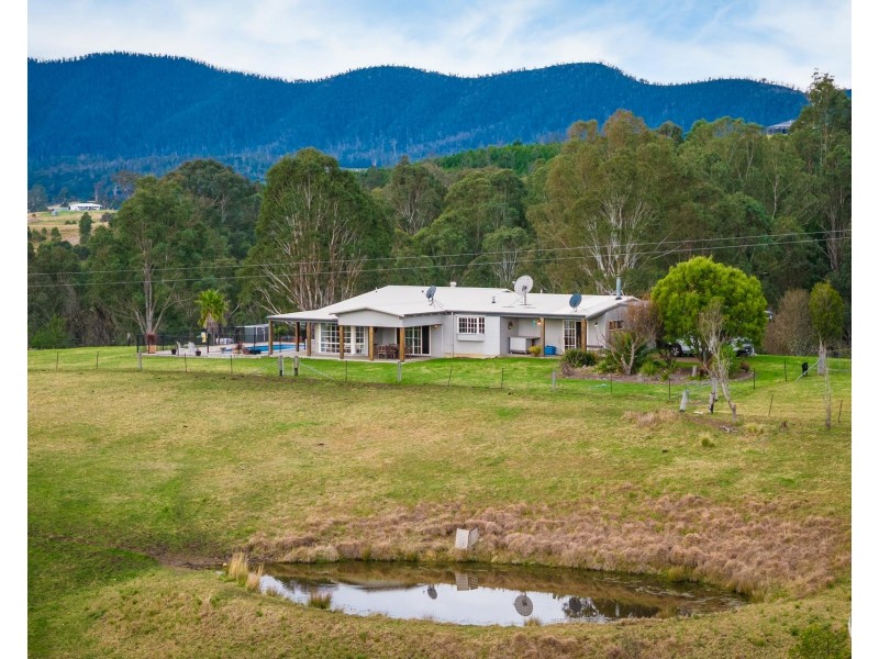 160 Link Road, Wandella NSW 2550