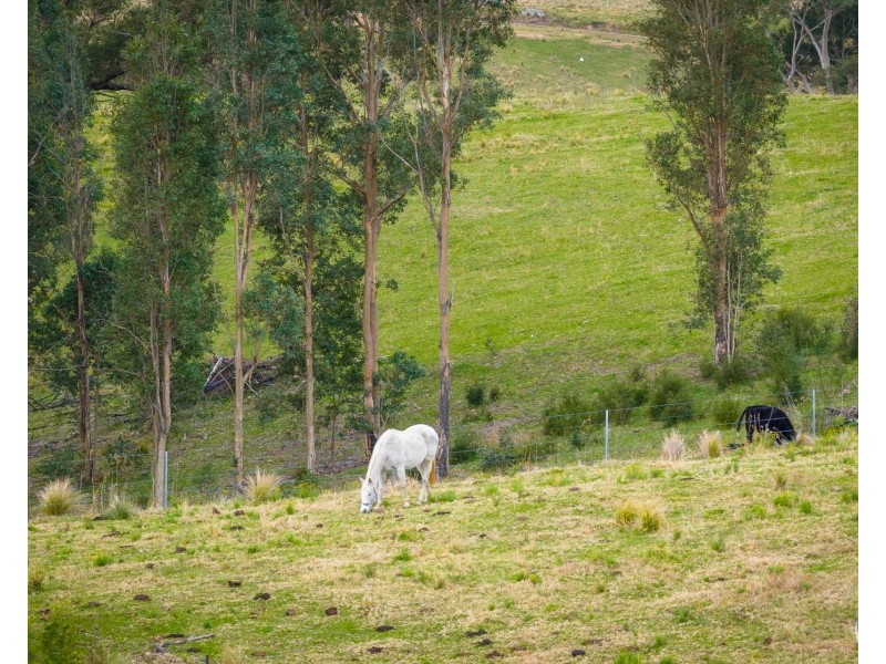 160 Link Road, Wandella NSW 2550