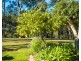 950 Wagonga Scenic Drive, Narooma NSW 2546