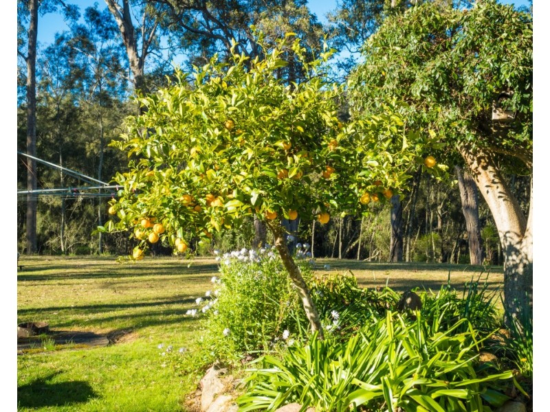 950 Wagonga Scenic Drive, Narooma NSW 2546