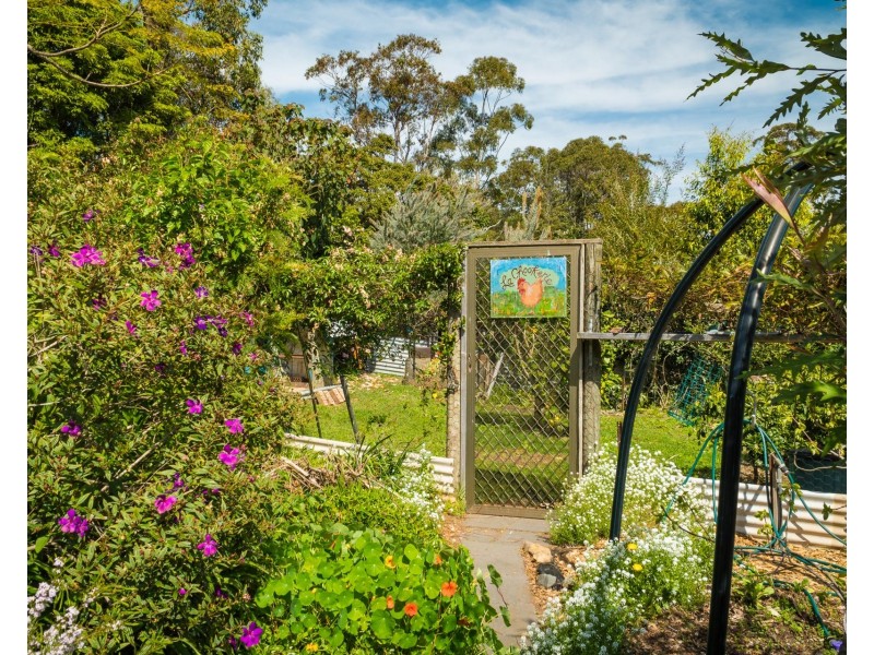 56 Fairhaven Point Way, Wallaga Lake NSW 2546