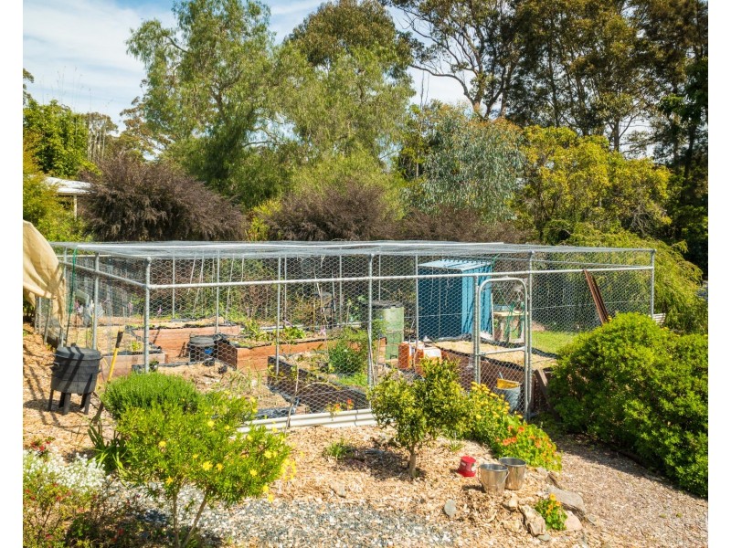 56 Fairhaven Point Way, Wallaga Lake NSW 2546